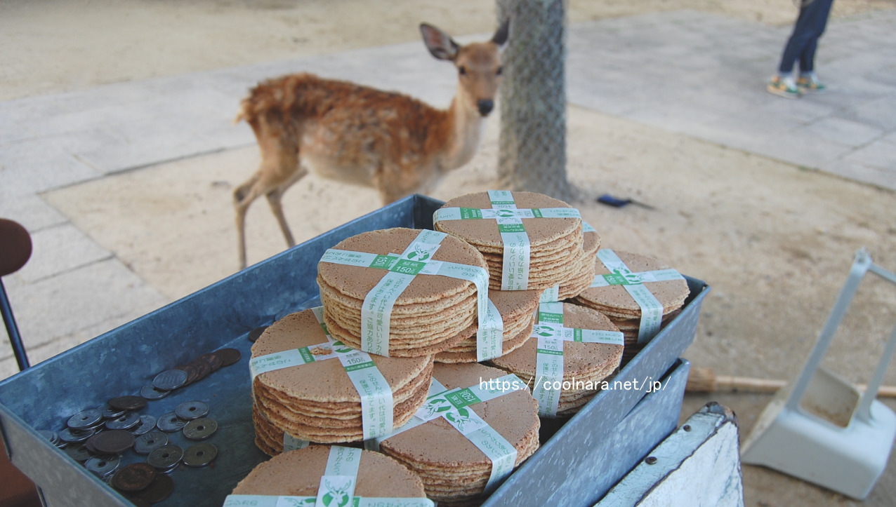 奈良公園の鹿せんべいの売り場、料金・上げ方。食べられる？味は
