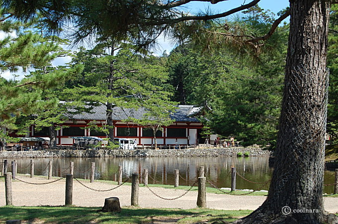 東大寺鏡池