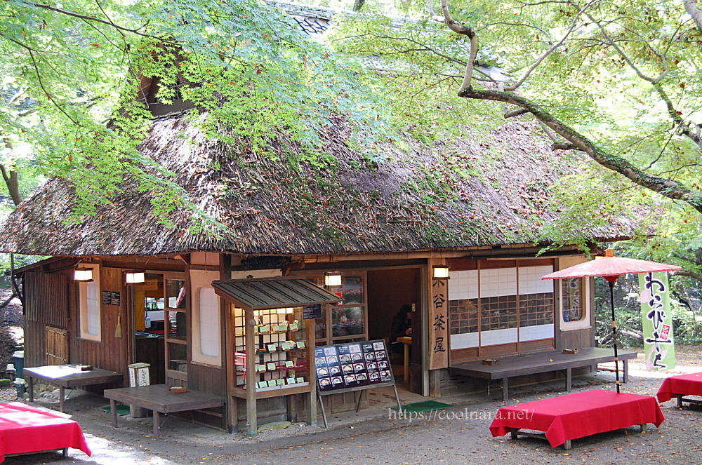 茅葺き屋根の水谷茶屋 みずやちゃや で わくわく奈良ガイド 奈良公園の鹿や奈良観光おすすめスポット情報