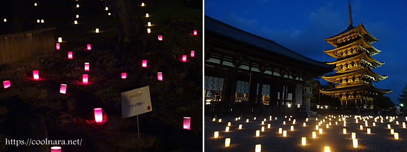 なら燈花会 ならとうかえ わくわく奈良ガイド 奈良公園の鹿や奈良観光おすすめスポット情報